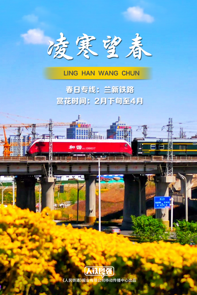 春日列车穿越花海，绝美！