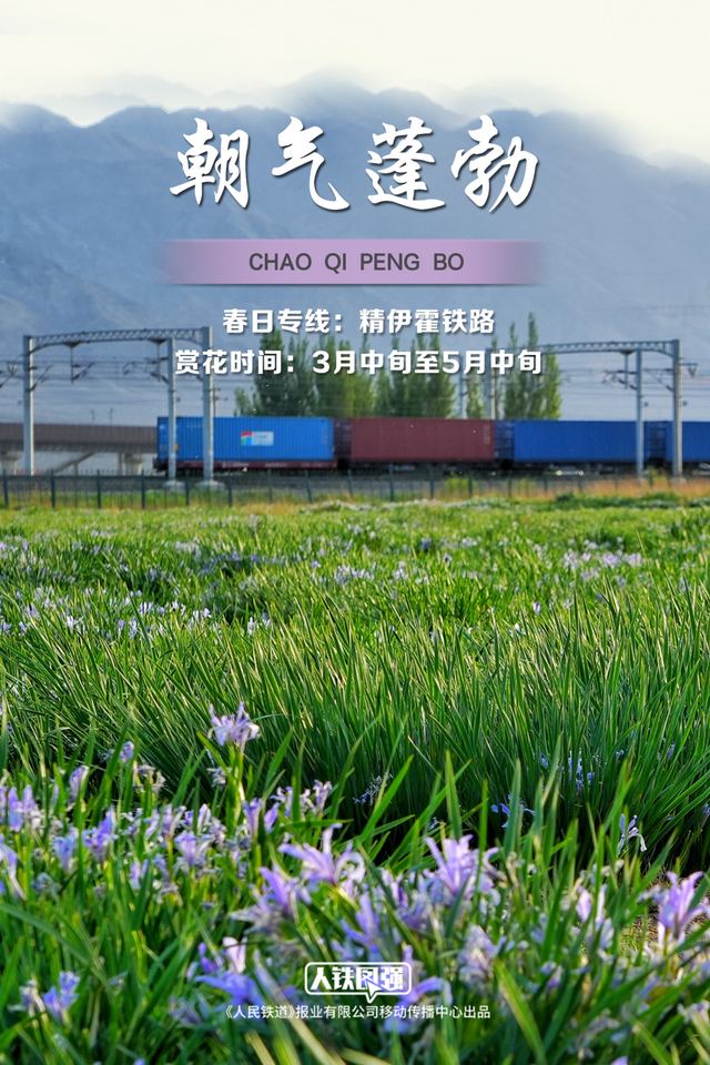 春日列车穿越花海，绝美！