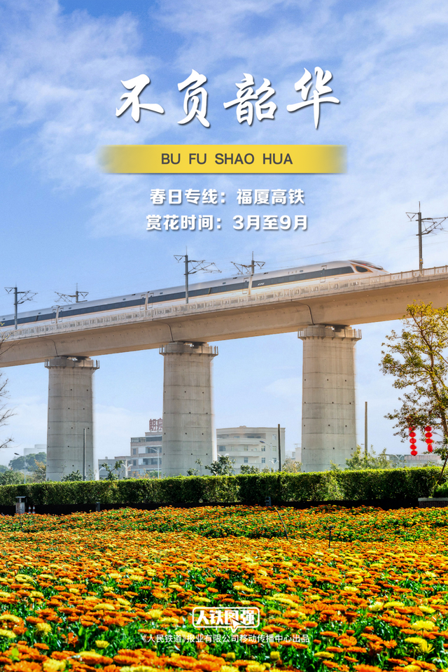 列车穿越花海超惊艳！快来领取春日壁纸（内附赏花日期）