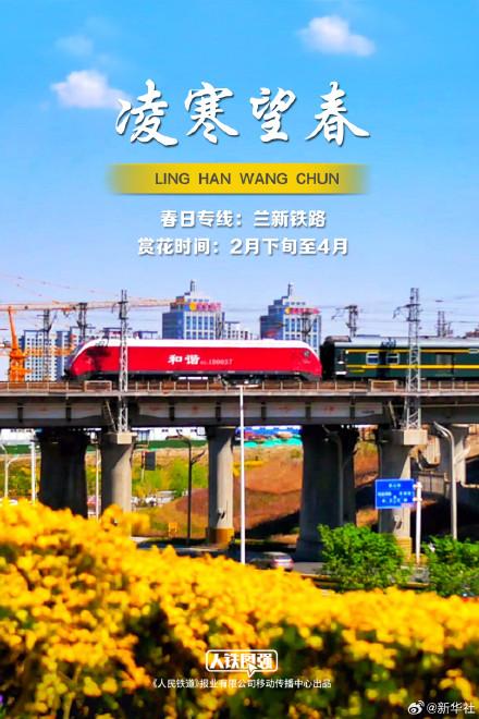 收藏！列车邂逅春日限定版花海