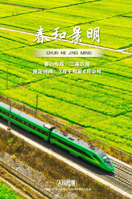 来看春日列车穿越花海，一起拥抱春天
