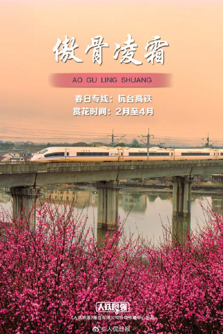 来看春日列车穿越花海，一起拥抱春天