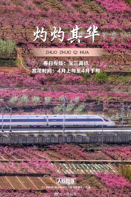 来看春日列车穿越花海，一起拥抱春天