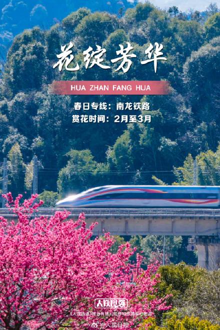 来看春日列车穿越花海，一起拥抱春天