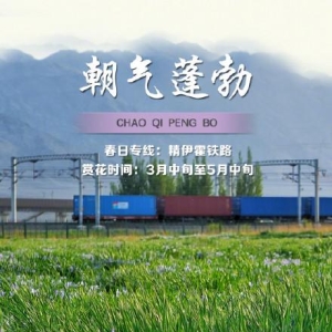 来看春日列车穿越花海，一起拥抱春天
