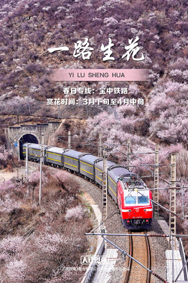 壁纸上新！春日列车穿越花海，美！