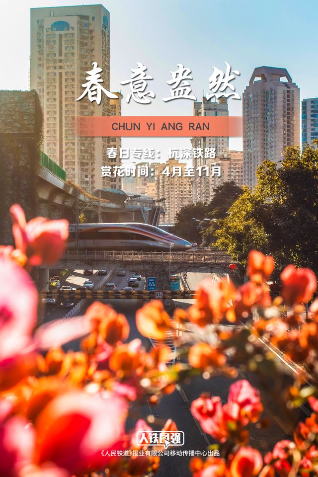 壁纸上新！春日列车穿越花海，美！