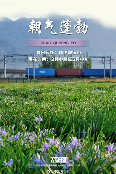 春日列车穿越花海壁纸，一起拥抱春天