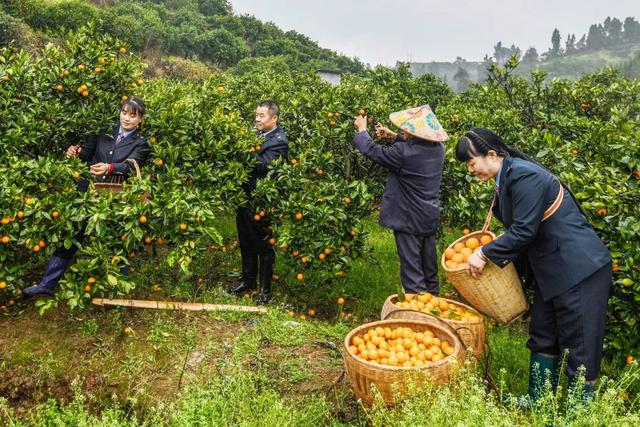 最低票价仅2元！这趟“卖菜专列”在海外火了！
