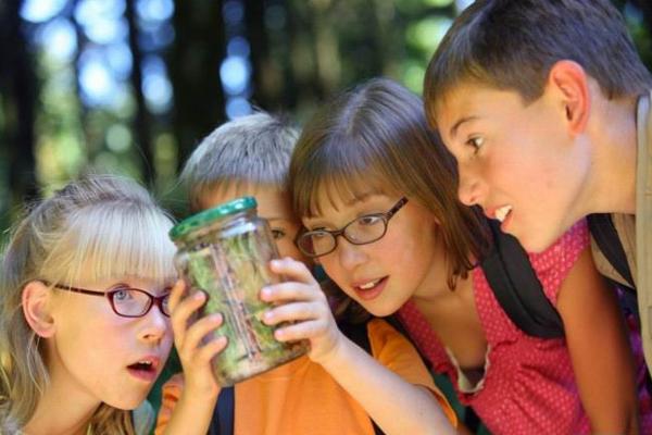 专四专八考试的一些小诀窍分享