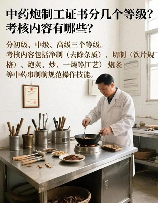 专科中药学毕业能考啥证？这5个证书别错过，考对了就业不用愁