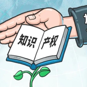 一文了解知识产权