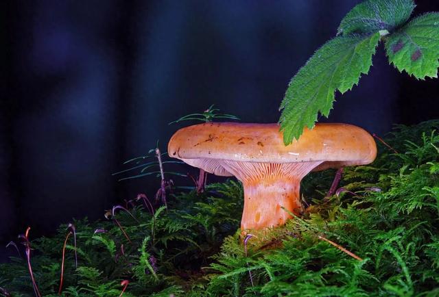 公务员考试，选拔的不是高智商，也不是高情商，而是这8种能力