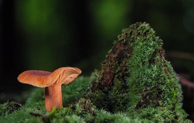 公务员考试，选拔的不是高智商，也不是高情商，而是这8种能力